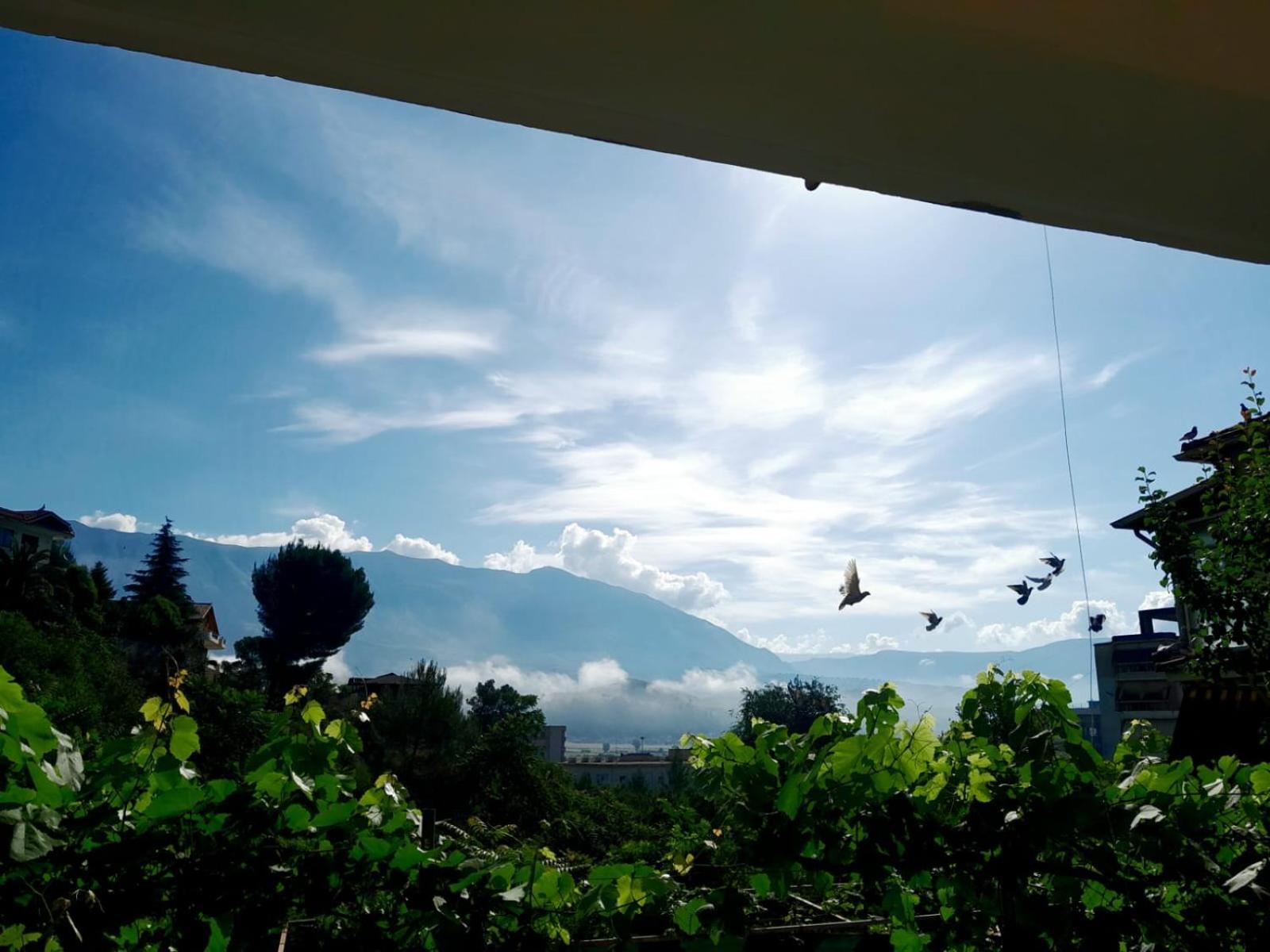 Appartamento George 1 Gjirokastër Esterno foto